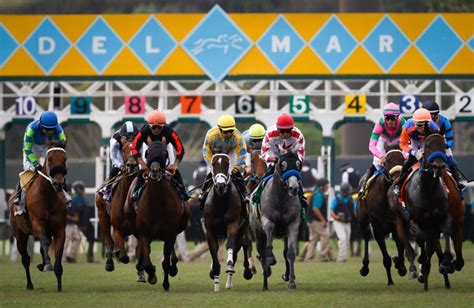 consensus basketball picks|Del Mar horse racing consensus picks for Thursday, August 29, .